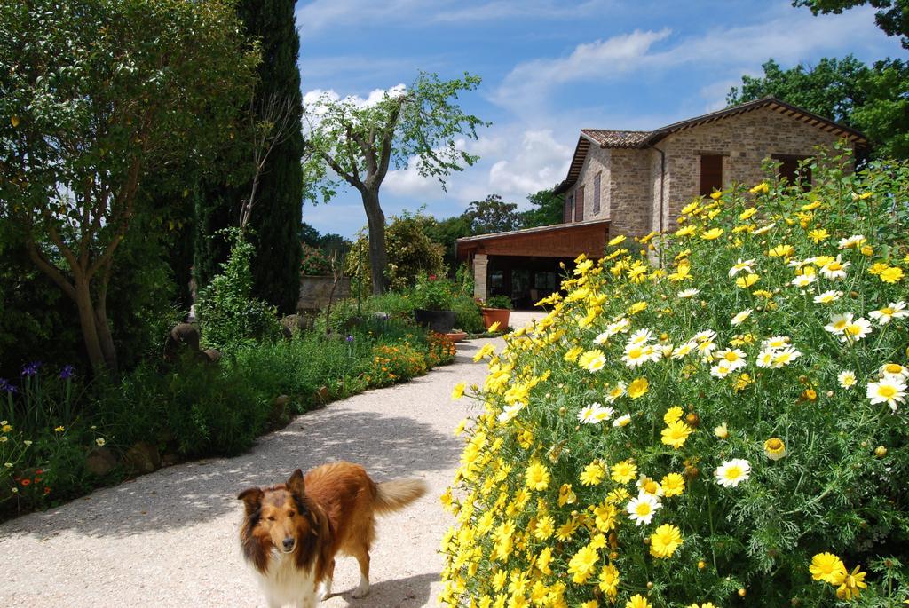 Casale Il Cerqueto Bed and Breakfast San Severino Marche Εξωτερικό φωτογραφία
