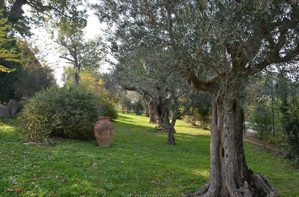 Casale Il Cerqueto Bed and Breakfast San Severino Marche Εξωτερικό φωτογραφία