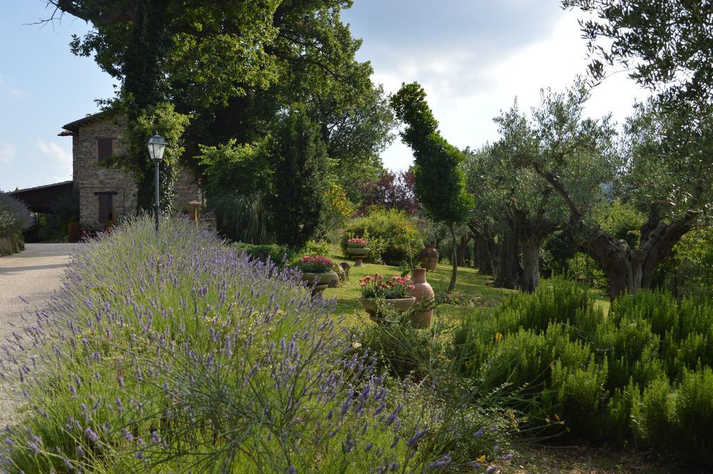 Casale Il Cerqueto Bed and Breakfast San Severino Marche Εξωτερικό φωτογραφία