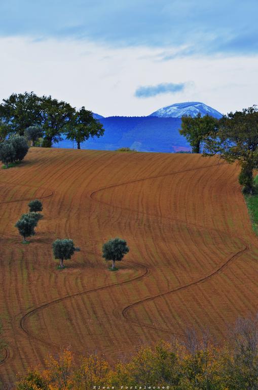 Casale Il Cerqueto Bed and Breakfast San Severino Marche Εξωτερικό φωτογραφία