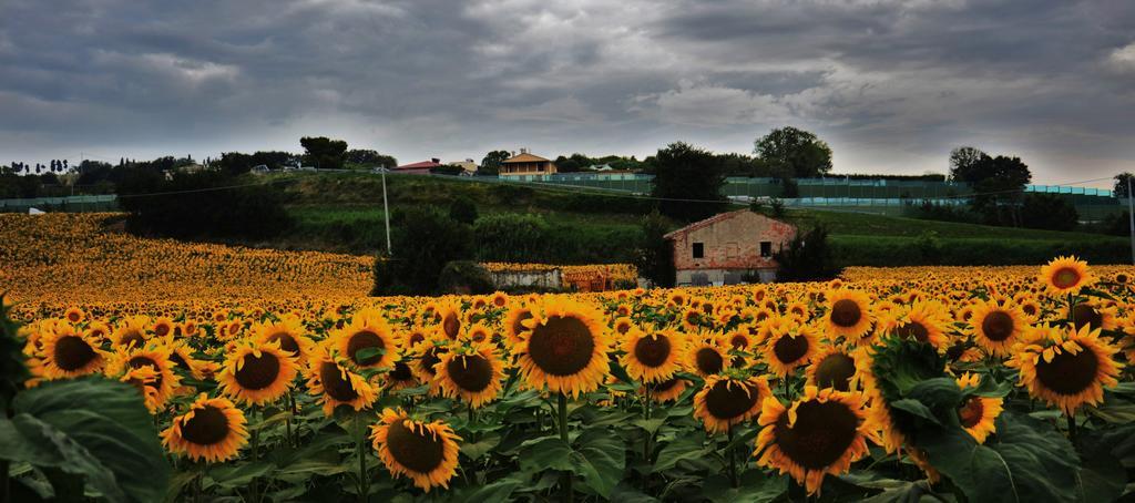 Casale Il Cerqueto Bed and Breakfast San Severino Marche Εξωτερικό φωτογραφία