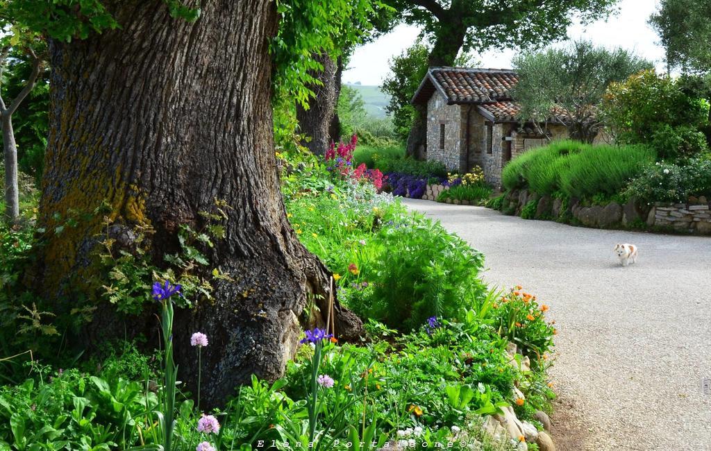 Casale Il Cerqueto Bed and Breakfast San Severino Marche Εξωτερικό φωτογραφία